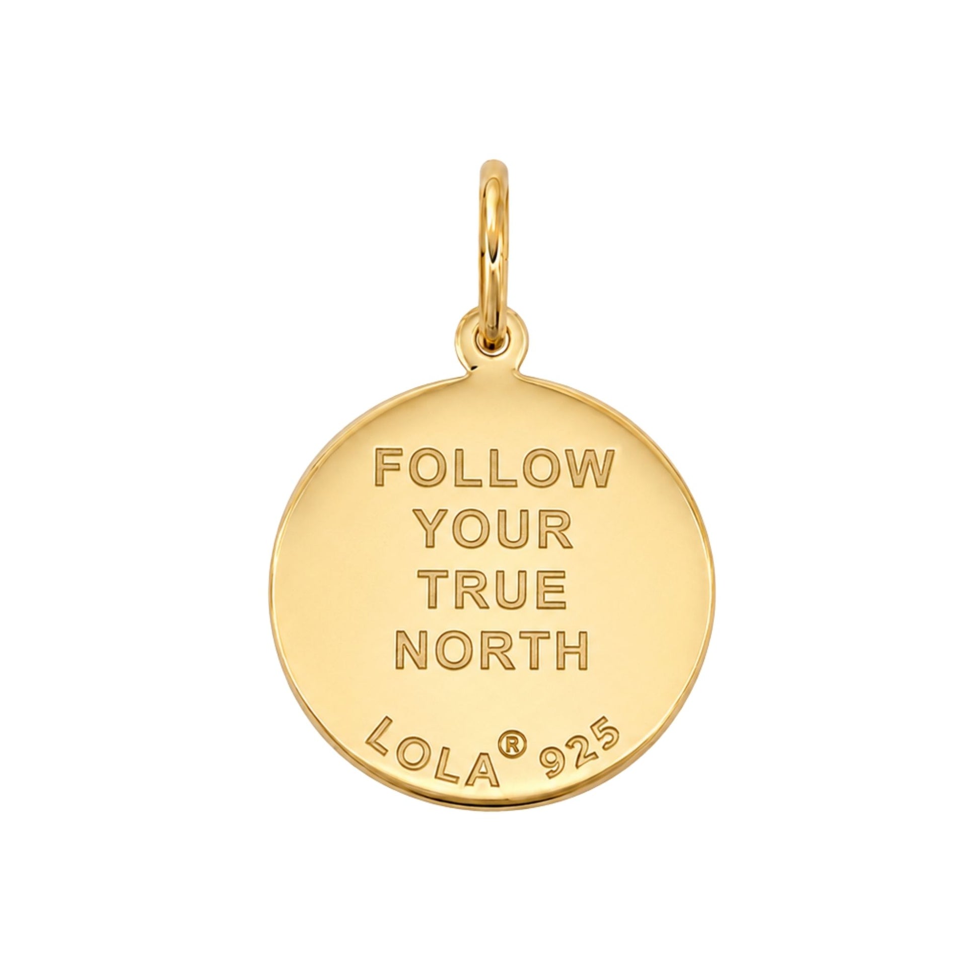Compass: True North Compass - 13