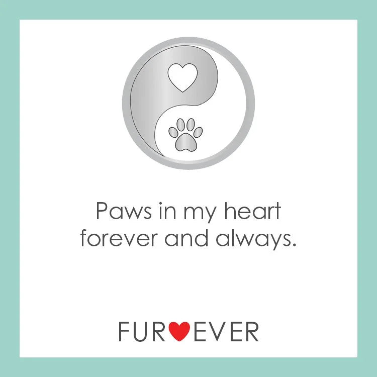 Furever - 3