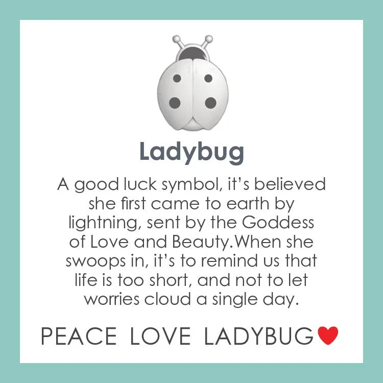 Ladybug