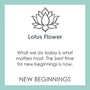 Lola_lotus_product_card_565_m