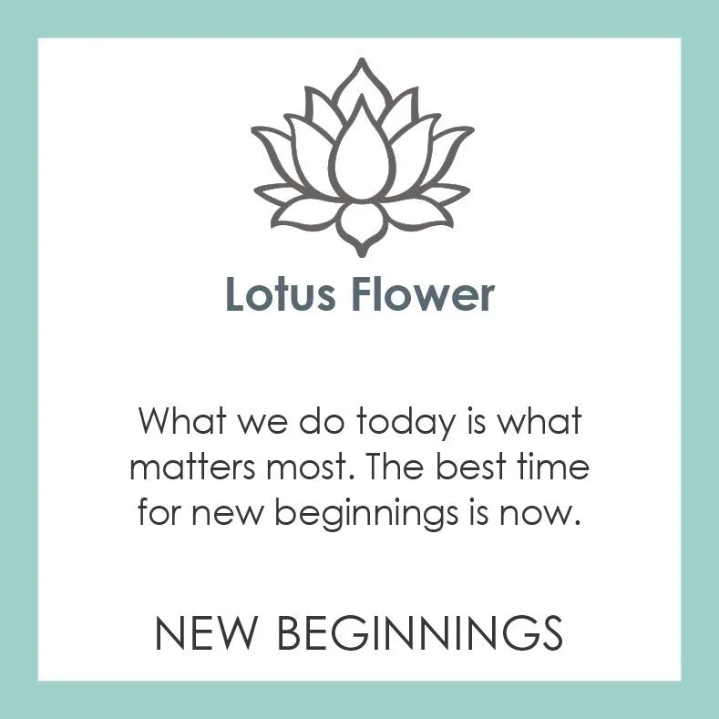 Lotus - 2