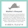 Lola_marthavinyard_product_card_m