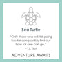 Lola_seaturtle_product_card_565_m