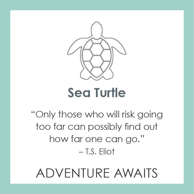 Sea Turtle - 2
