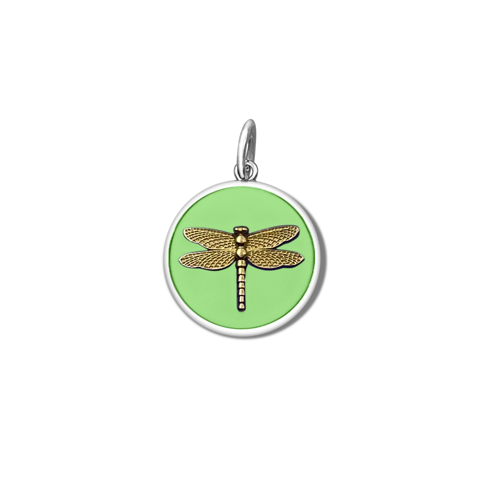 Dragonfly - 19