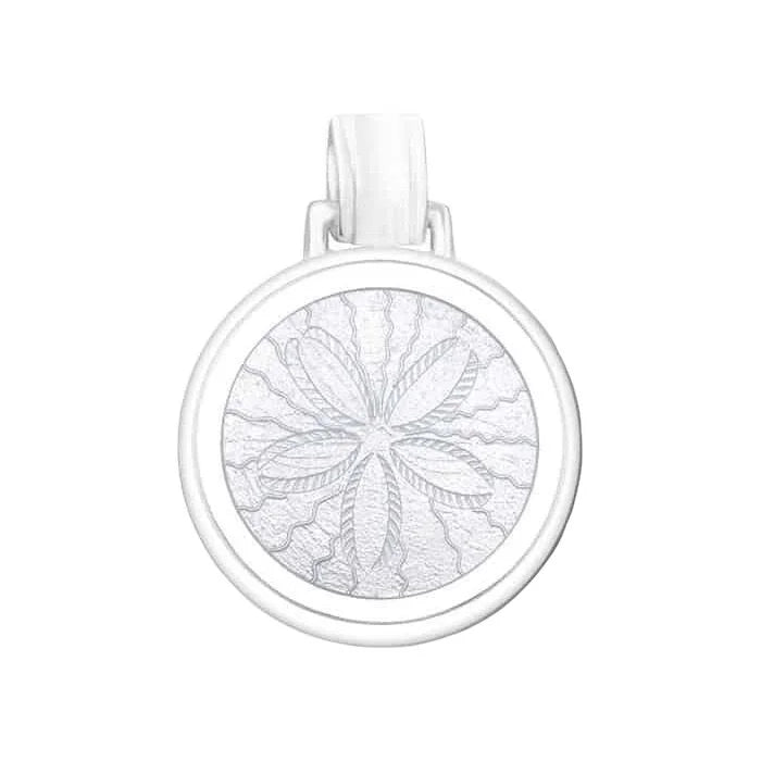 Sand dollar