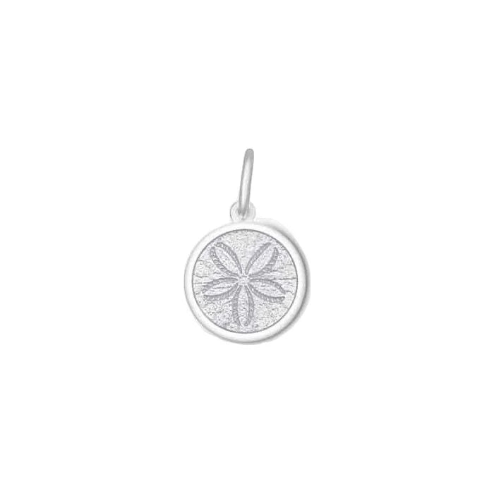 Sand dollar