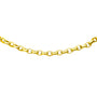 Signature rolo chain close up