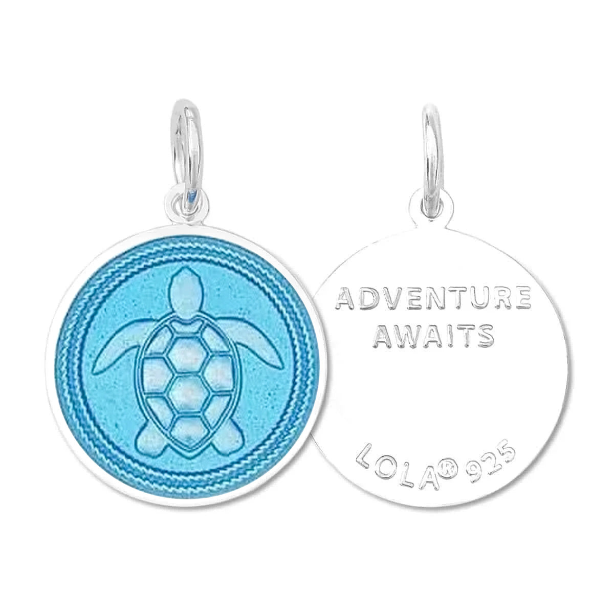 Sea turtle